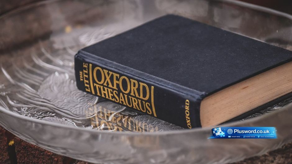 thesaurus for another word for a plus