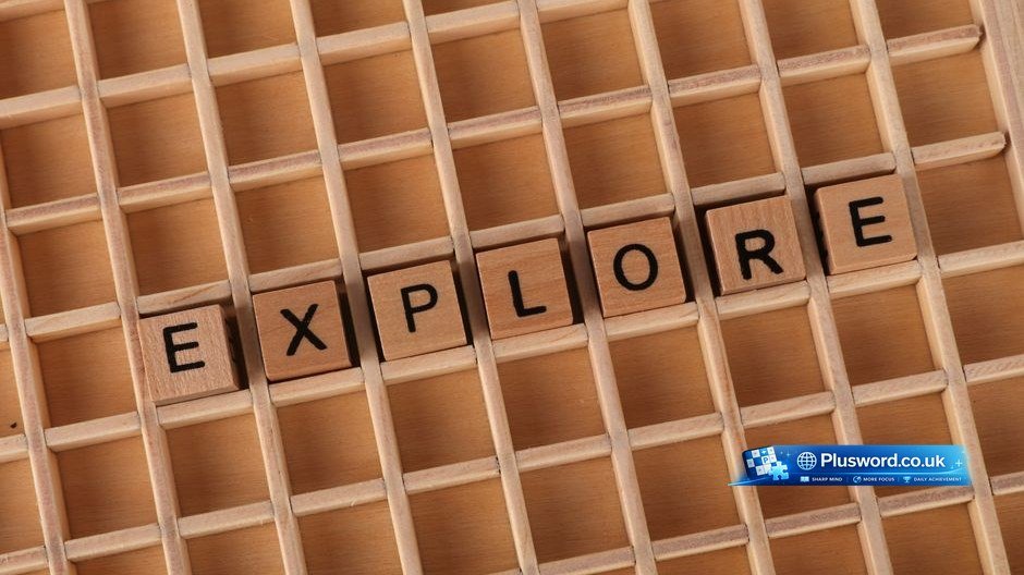 what is the word for plus dictionary