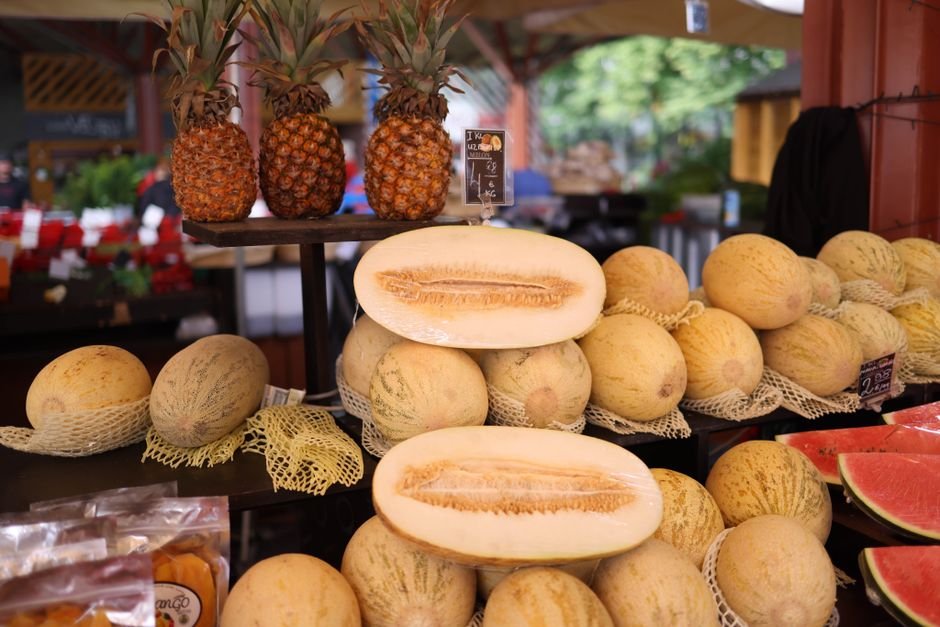 Crenshaw melon variety